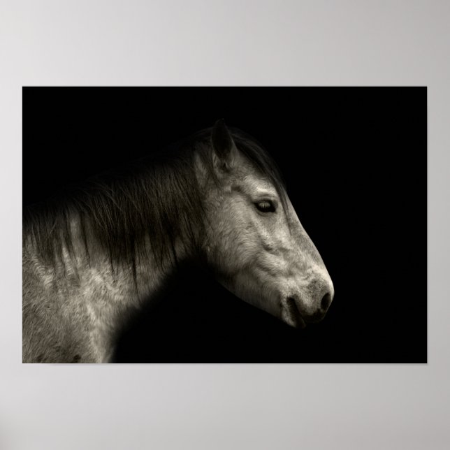 Horse portrait poster (Front)