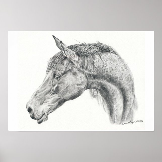 Horse portrait poster in graphite pencil drawing (Front)