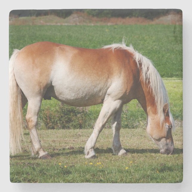 Horse portrait stone coaster (Front)