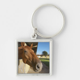 Horse portrait, Swaziland, South Africa Key Ring