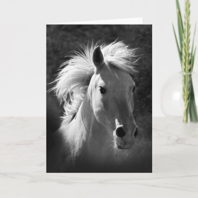 Horse Portrait V Card (Front)
