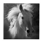 Horse Portrait V Ceramic Tile<br><div class="desc">Animals</div>