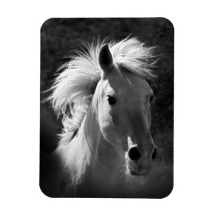 Horse Portrait V Magnet