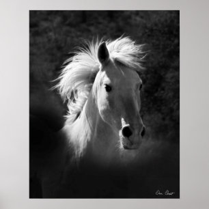 Horse Portrait V Poster