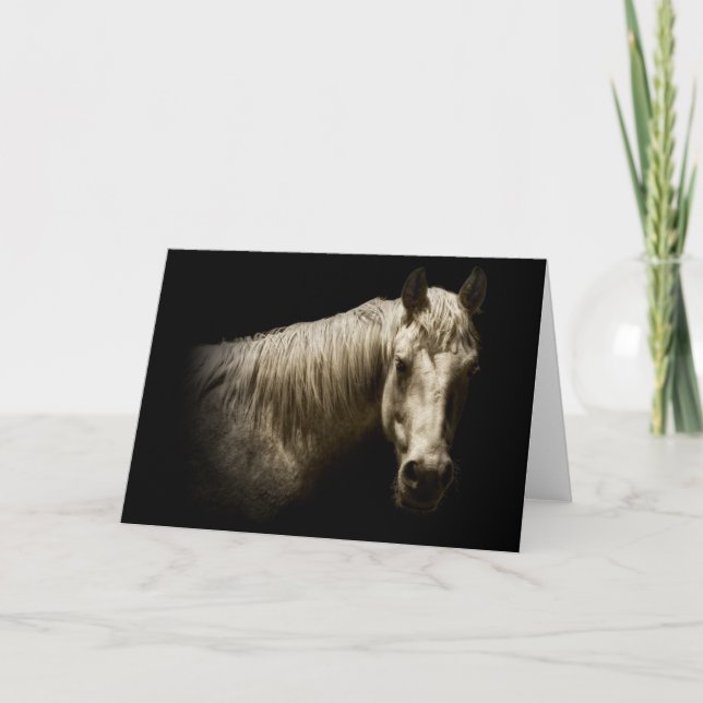 Horse Portrait VI Card (Front)