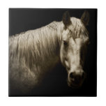 Horse Portrait VI Ceramic Tile<br><div class="desc">Animals</div>