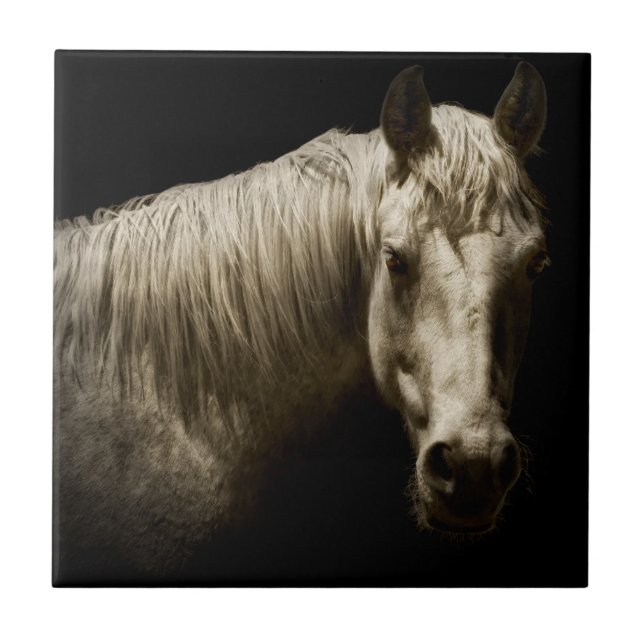 Horse Portrait VI Ceramic Tile (Front)