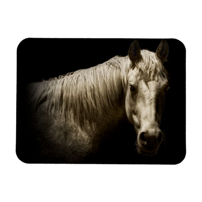 Horse Portrait VI Magnet (Horizontal)