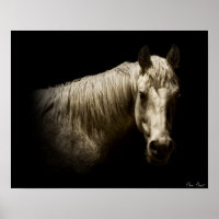 Horse Portrait VI