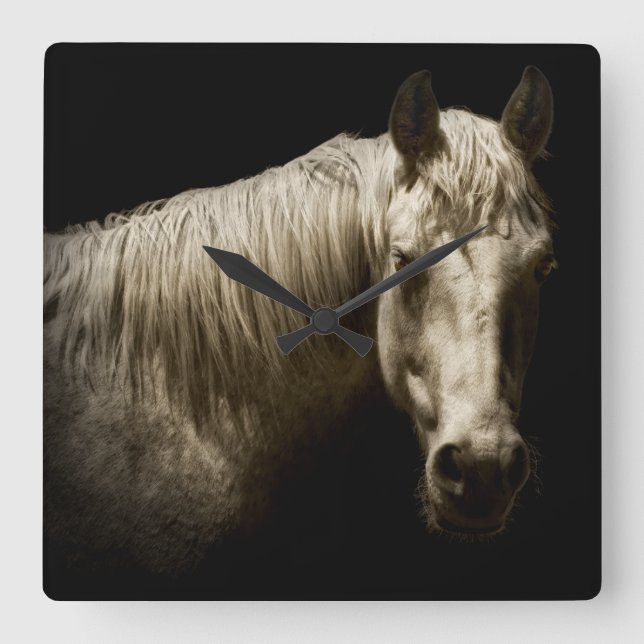 Horse Portrait VI Square Wall Clock (Front)