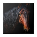 Horse Portrait VII Ceramic Tile<br><div class="desc">Animals</div>