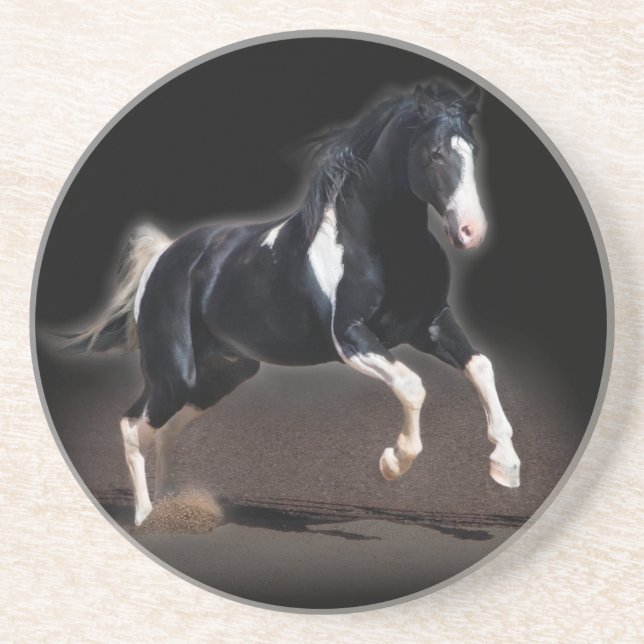 Horse Portrait VIII Coaster (Front)