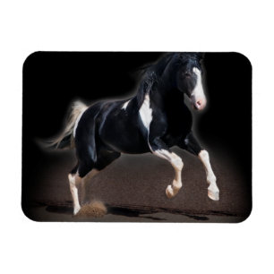Horse Portrait VIII Magnet