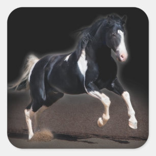 Horse Portrait VIII Square Sticker