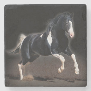 Horse Portrait VIII Stone Coaster