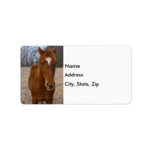 Horse pose label