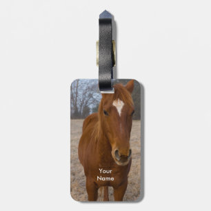 Horse pose luggage tag