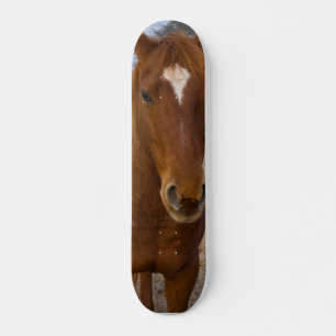 Horse pose skateboard