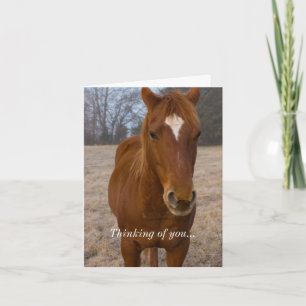 Horse Pose Thinking Of You Card