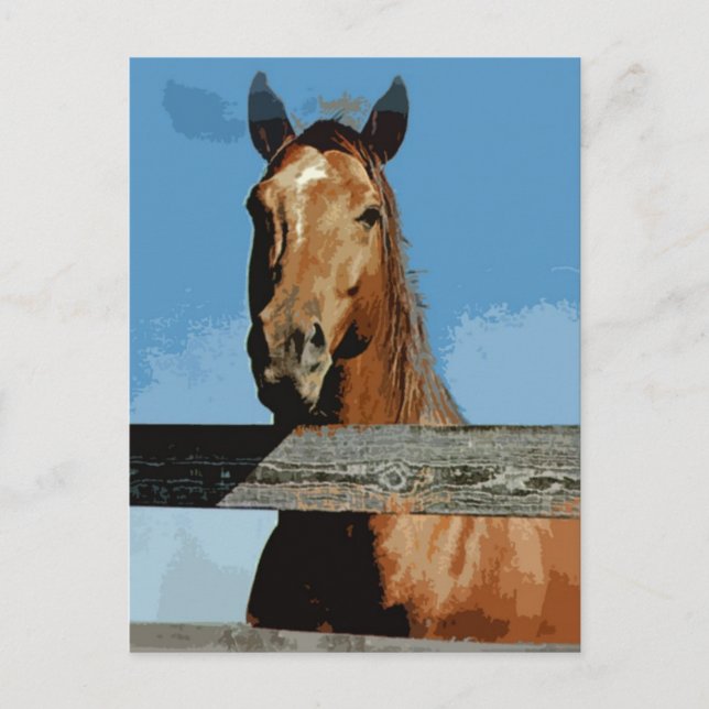 Horse Postcard (Front)