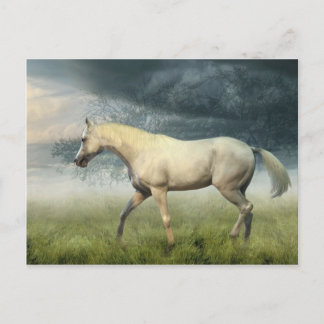 Horse Postcard