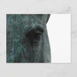 Horse Postcard