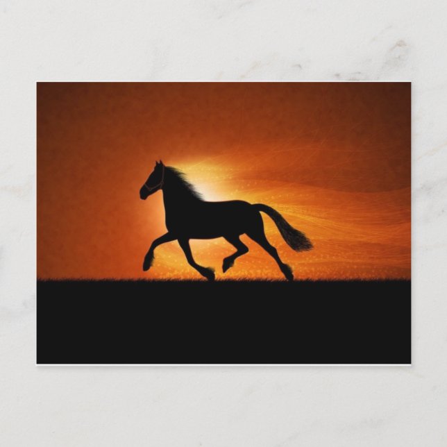 horse postcard (Front)