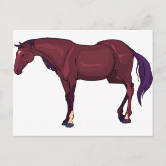 horse postcard