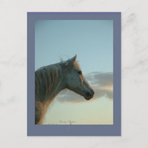 Horse Postcard, Customisable 6 Postcard