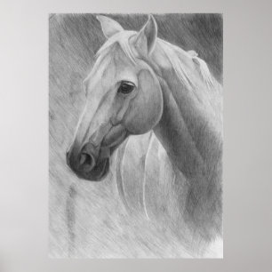 Horse Poster