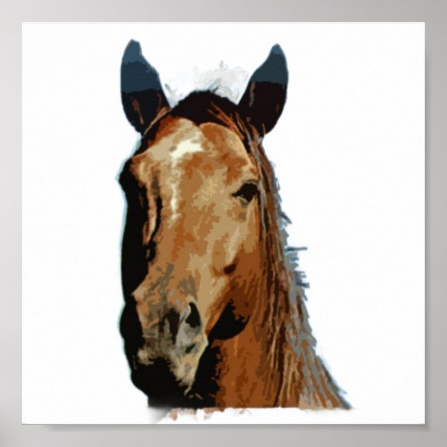 Horse Poster Print (Front)