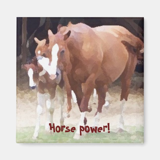 Horse power! Magnet (Front)