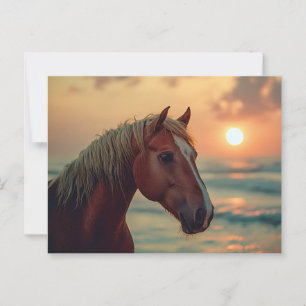 Horse Profile Sunset on the Beach Postcard