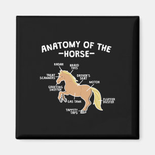 Horse Pun Anatomy Of Horse Horseback Riding Equest Magnet