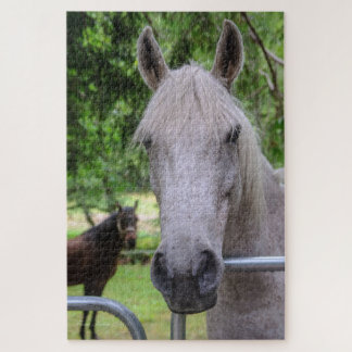 Horse Puzzle
