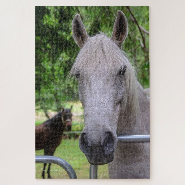 Horse Puzzle (Vertical)