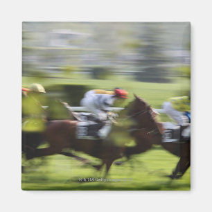 horse race 2 magnet