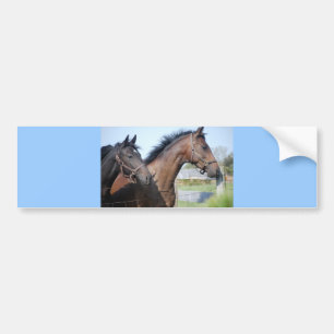 Horse Race Finish Line Bumper Sticker