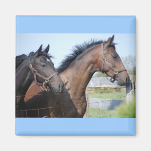 Horse Race Finish Line Magnet