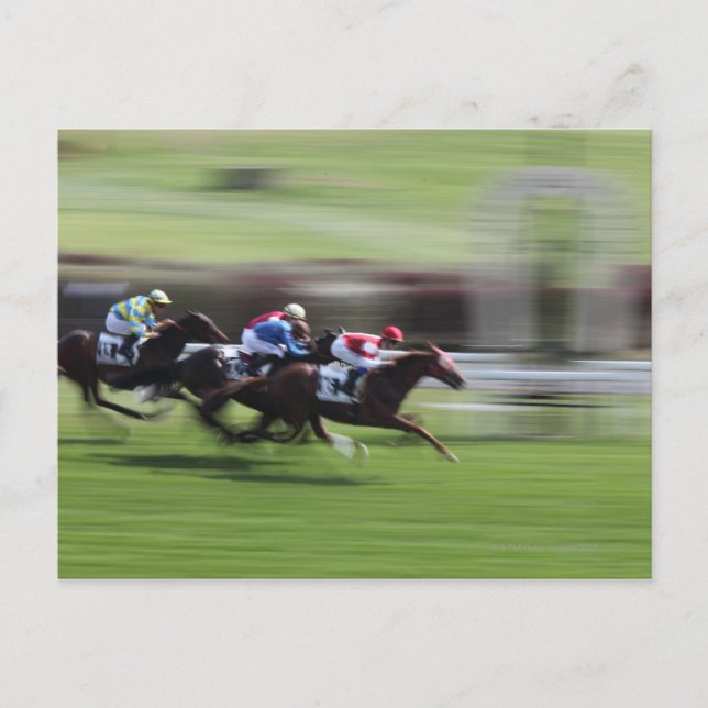 horse race postcard (Front)