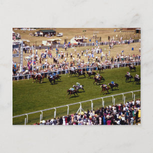 Horse racing postcard