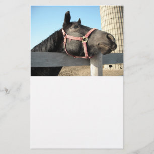 Horse/Ranch/Barn Stationery