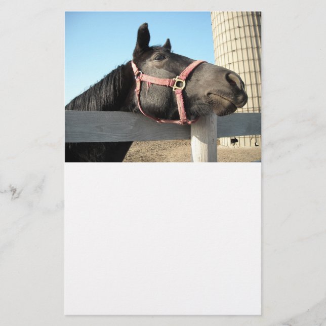 Horse/Ranch/Barn Stationery (Front)