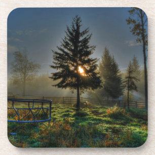 Horse Ranch Sunrise Nature Photo Coaster