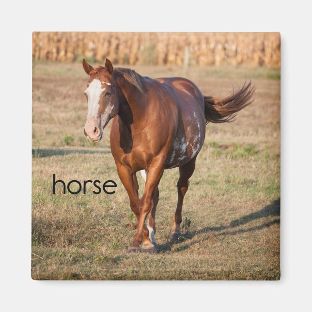 Horse Refrigerator Magnet (Front)