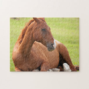 Horse Relaxing In Green Pastures Jigsaw Puzzle