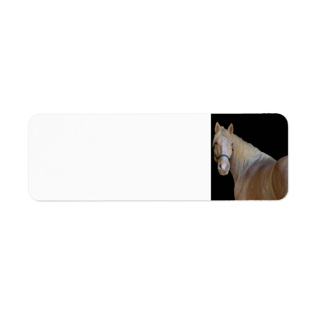 Horse Return Address Label (Front)