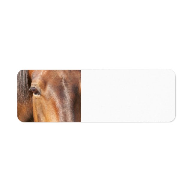 Horse return address labels (Front)