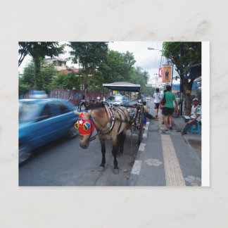 horse ride @ Bali Postcard