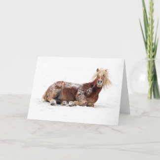 Horse Rolling In Snow Holiday Card